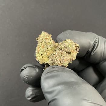 White CBG