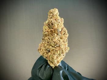 White Chocolate CBG