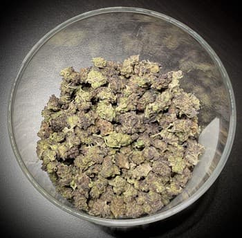 Jelly Roll Smalls THCA