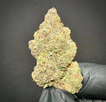 Modified Grapes THCA