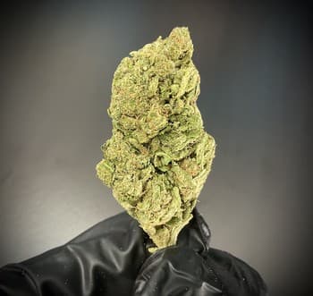 Lemon Chaffion THCA