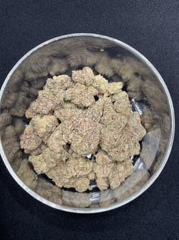 Pina Colada THCA