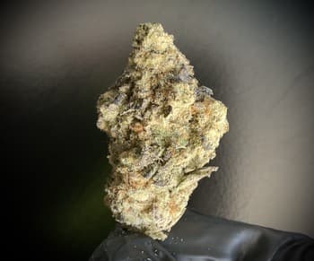 Wildflower Smalls THCA