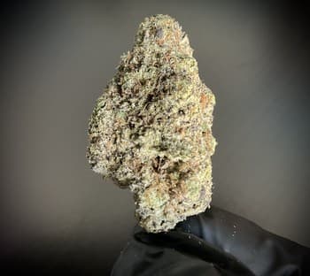 Interstellar THCA