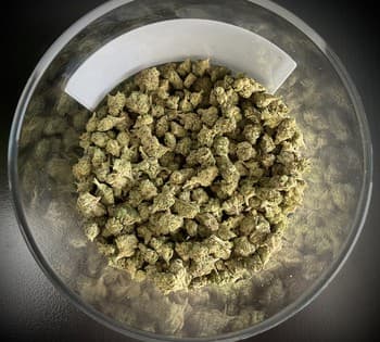 G41 Smalls THCA